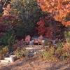 Sitting area at Scenic Pond painted for Fall